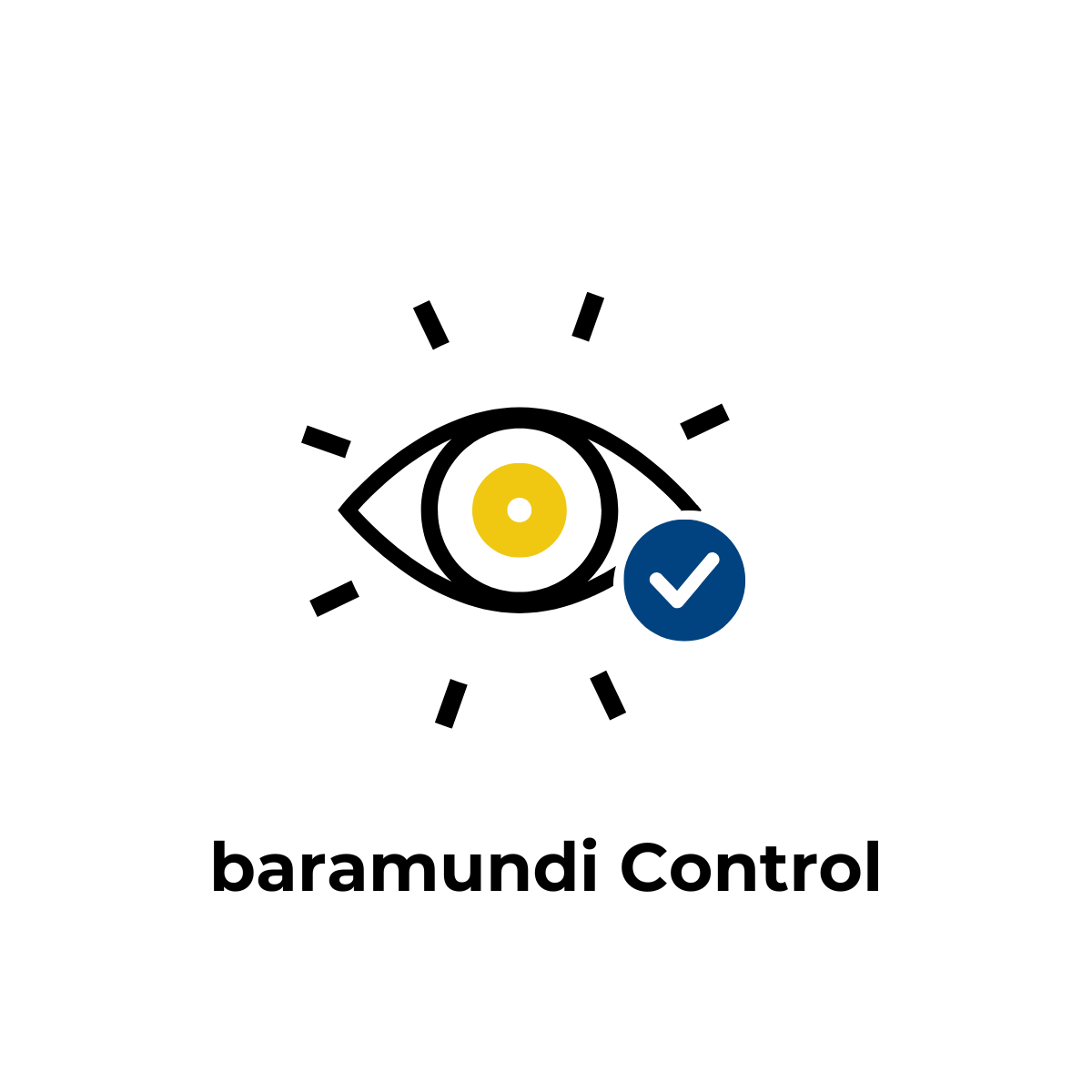 baramundi Control